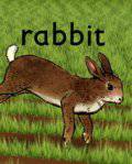      - Rabbit / (2005)